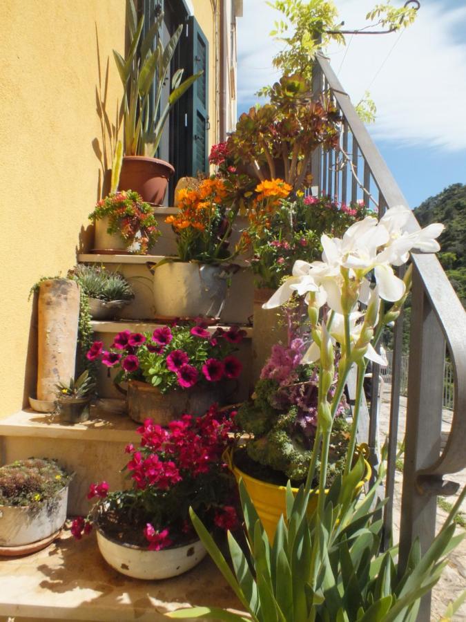 La Casa Di Sveva Apartment Ragusa Exterior photo